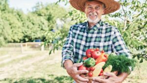 Ein älterer Mann mit Strohhut hält einen Korb voll mit buntem Gemüse. (c) AdobeStock