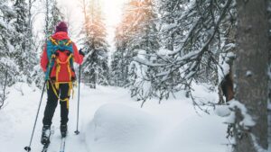 Ein Skitourengeher im Wald. (c) AdobeStock